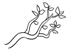 簡單好畫的樹枝簡筆畫圖片含上色